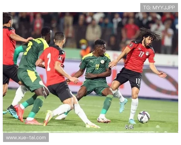 94世界杯非洲参赛名额共多少席位及背后历史变迁探析影响与意义研究