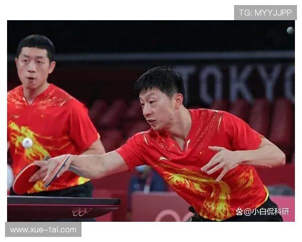 聚焦WTT世界杯总决赛见证乒坛巅峰对决与荣耀时刻全球瞩目盛宴